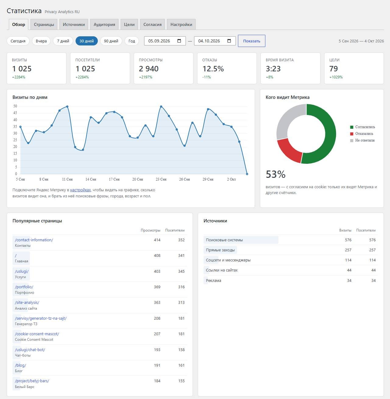 Вкладка «Обзор» плагина Privacy Analytics RU